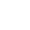 Laravel Icon
